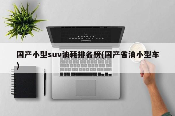 国产小型suv油耗排名榜(国产省油小型车)