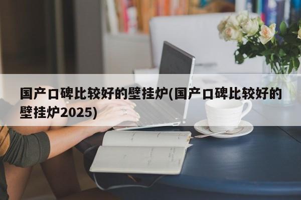 国产口碑比较好的壁挂炉(国产口碑比较好的壁挂炉2025)