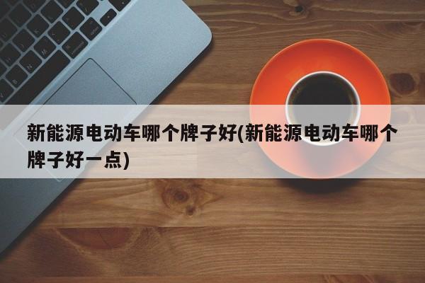 新能源电动车哪个牌子好(新能源电动车哪个牌子好一点)
