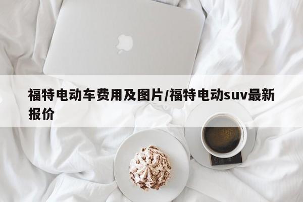 福特电动车费用及图片/福特电动suv最新报价