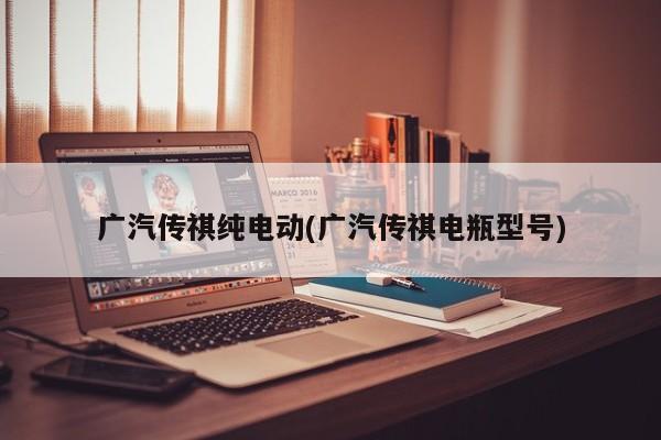 广汽传祺纯电动(广汽传祺电瓶型号)