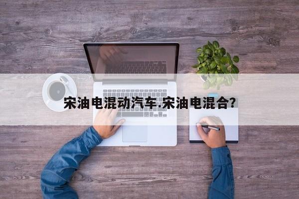 宋油电混动汽车.宋油电混合?