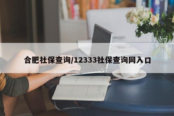 合肥社保查询/12333社保查询网入口